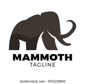 mammoth vector logo template design