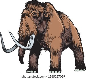 Mammoth vector mammal animal character