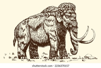 Mammoth vector sketch, hand drawn ink illustration.