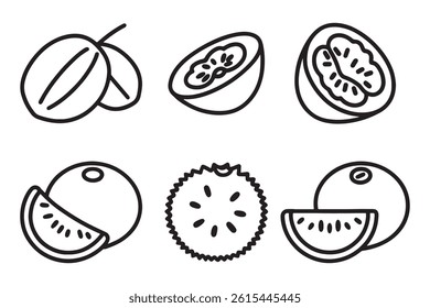 Mamoncillo fruit line art set isolated flat vector illustration on white background