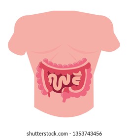 man anatomy with digestive system