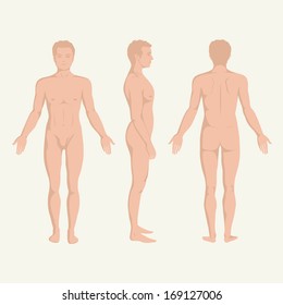 Man Body Anatomy, Front, Back And Side Standing Vector Human Poses 