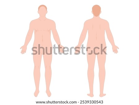 Man body front and back view isolated outline line contour template human body different gender without clothes.vector illustration.