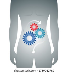 Man body with good digestion in the stomach represented by a cog mechanism. Medical vector illustration
