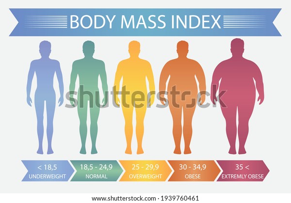 Man body mass index. Vector fitness bmi\
chart with male silhouettes and scale. Body mass index fot health\
life, obesity and overweight\
illustration.