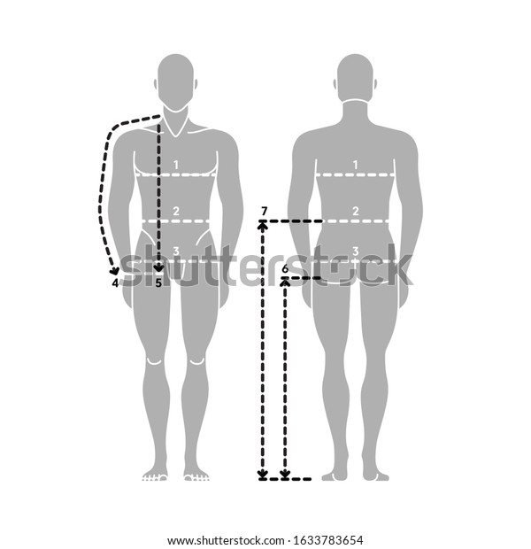 Man Body Measurements Taking Measurement Vector Stock Vector (Royalty ...