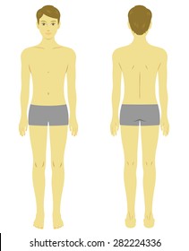 Man body, model