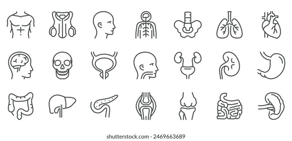 Conjunto de iconos de órganos y piezas del cuerpo del hombre. Ilustraciones delgadas de órganos masculinos y estructuras anatómicas. Colección de carteles de Vector editables.