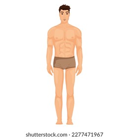 Man body in pants, full height, front view. Vector illustration, cartoon style
