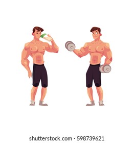 Man bodybuilder, weightlifter working out with dumbbells and drinking protein shake, cartoon vector illustration isolated on white background. Man bodybuilder with dumbbells and drinking protein