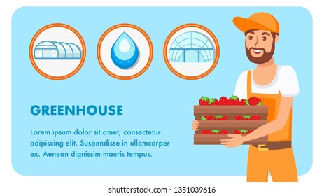 Man with Box of Strawberries Vector Banner Layout. Greenhouse Poster with Text Space. Drop of Clean Water in Circle. Summer harvest. Ripe Berries. Male Cartoon Character in Overall. Gardener, Farmer