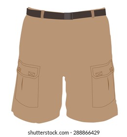 Man brown bermuda shorts vector illustration. Sport shorts. Short pants