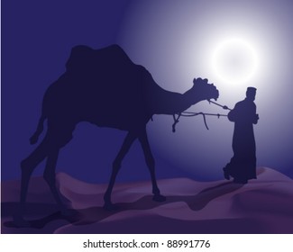 Man and camel in the desert moonlight