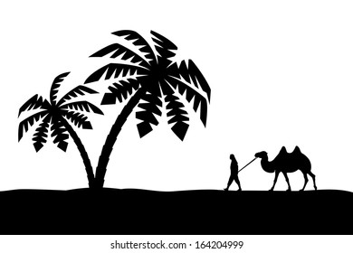 Man with camel in palm trees.
