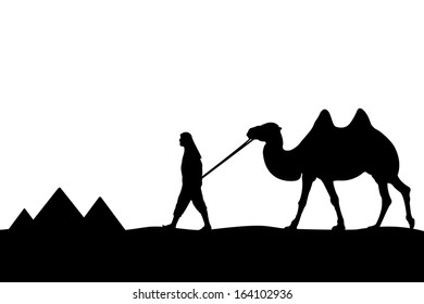 Man with camel of the pyramids.