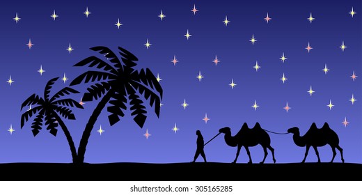 Man with camels on the background of palm trees and the night sky.