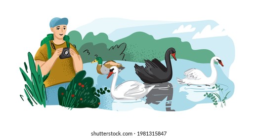 Man With A Camera Watches Birds On The Lake. Birdwatching And Photo Hunting. Watching Animals In The Wild. Black And White Swans Swim In The Pond. Hiking And Eco-friendly Hobbies. Vector Illustration