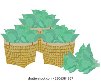 man carrying kale on a white background.