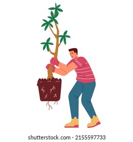 Man carrying tree seedling for panting flat vector ilustration isolated on white.