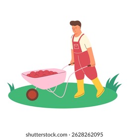 Man is carrying vegetables, fruit in a garden wheelbarrow. Concept of gardening