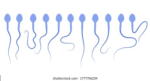 Conjunto de iconos de la celda principal. Fertilización e investigación de la FIV. Ilustración vectorial plana de esperma, espermatozoo. Concepto del sistema sexual de reproducción humana. Cartel gráfico para laboratorio, clínica y educación.