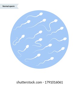 Conjunto de iconos de la celda principal. Fertilización e investigación de la FIV. Ilustración vectorial plana de esperma, espermatozoo. Concepto del sistema sexual de reproducción humana. Cartel gráfico para laboratorio, clínica y educación.
