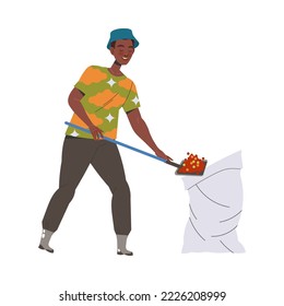 Man Character Harvesting Coffee Pouring Fresh Fruit in Sack with Shovel Vector Illustration