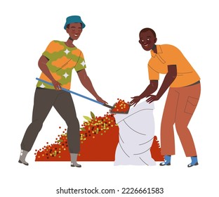 Man Character Harvesting Coffee Pouring Fresh Fruit in Sack with Shovel Vector Illustration