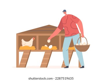 Man Collecting Eggs On Chicken Livestock Farm. Farmer Character Picking Up Eggs From Coop, Depicting Agricultural Work