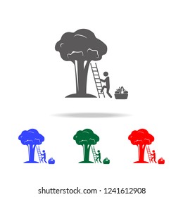 man collects fruit from a tree icon. Elements of garden in multi colored icons. Premium quality graphic design icon. Simple icon for websites, web design, mobile app, info graphics