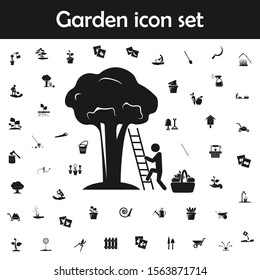 Man collects fruit from a tree icon. Garden icons universal set for web and mobile