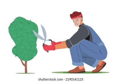 Man Cut Hedge in Orchard Doing Gardener Works Prune Shrub with Scissors. Worker Male Character Trimming Bush in Garden. Farmer Occupation, Yardwork Maintenance. Cartoon Vector Illustration