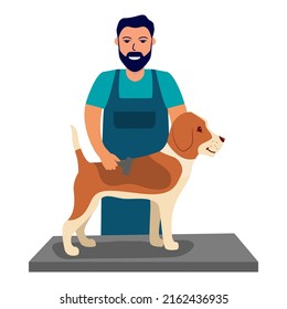 Man Cutting Dog. Dog Hanging On Border.Pet Grooming.Hairdresser For Animal.Dog Haircut.The Man Combs The Beagle Fur.