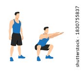 Man doing air squat in 2 steps in side view. Flat vector illustration isolated on white background