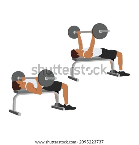 Man doing barbell bench press. Chest Press. flat vector illustration isolated on different layers