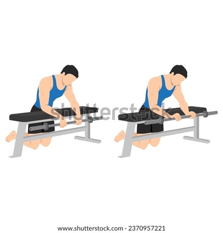 Man doing barbell reverse wrist curl on a bench exercise. Forearm exercise. Flat vector illustration isolated on white background