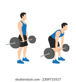 Man doing Barbell romanian deadlifts exercise. Flat vector illustration isolated on white background