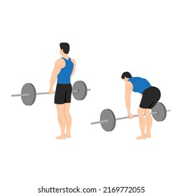 Man doing barbell stiff leg deadlift exercise. Flat vector illustration isolated on white background