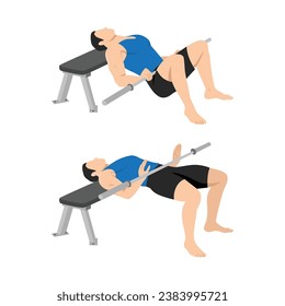 Man doing bench glute bridge with bar exercise. Flat vector illustration isolated on white background