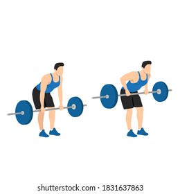 Man doing bent over barbell row exercise. Flat vector illustration isolated on white background