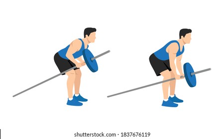 Man doing bent over T bar row. Top body workout. Upper body exercises. Flat vector illustration isolated on white background