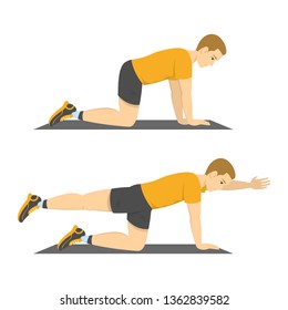 Man Doing Bird Dog Exercise. Exercise For Balance, Back And ABS. Fitness And Healthy Lifestyle. Back Pain Reduce. Training For Muscle. Isolated Vector Illustration In Cartoon Style