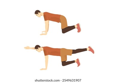 Man doing bird dog exercise to train core muscle in 2 step. Illustration about workout posture for six pack.