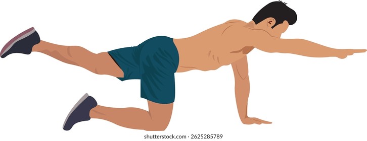 Man doing Bird Dog exercise on white background. Side plank workout vector illustration.
