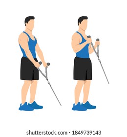 Man doing Cable hammer bicep curls exercise. Arm workout. Flat vector illustration of a fitness man isolated on white background