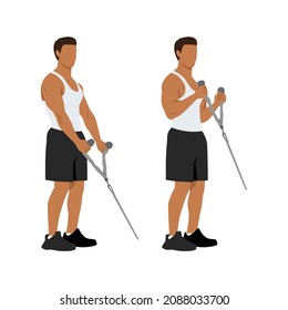 Man doing Cable hammer bicep curls exercise. Arm workout. Flat vector illustration of a fitness man isolated on white background