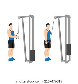 Man doing Cable rope pushdown exercise. Flat vector illustration isolated on white background