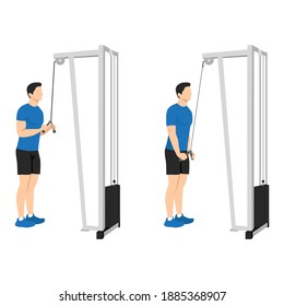 Man doing cable tricep pull down exercise. Flat vector illustration isolated on white background