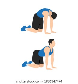 Man doing Cat back. Backward camel stretch exercise. Flat vector illustration isolated on white background