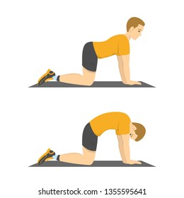 Man doing cat cow exercise. Back stretch in the gym. Fitness and healthy lifestyle. Flexible body. Isolated vector illustration in cartoon style